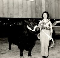 Early 1950s, Joan Wilson Rodgers showcasing one of George and J.B. Wilson's prized Angus cows